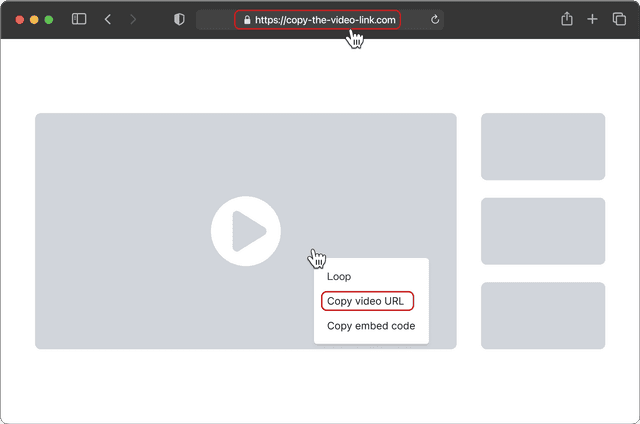 Download Video Step 1